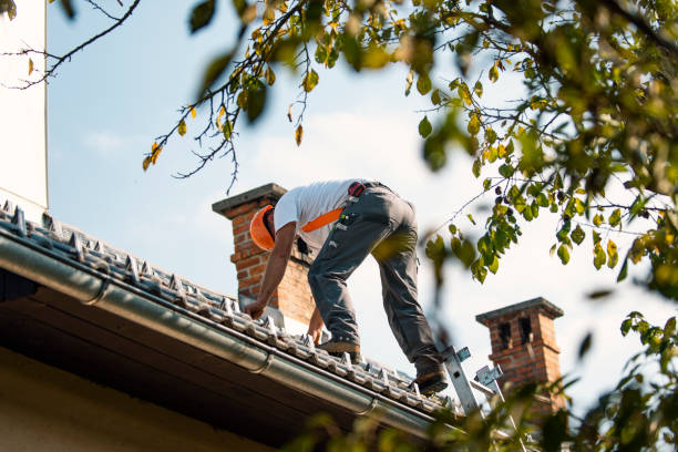 Best Emergency Roof Repair  in Westwood, MI