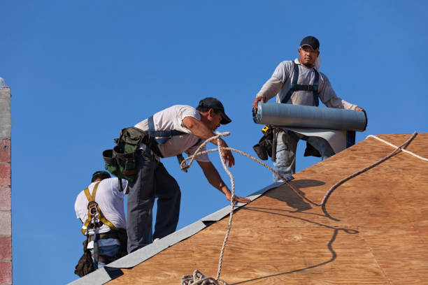 Best Best Roofing Contractors  in Westwood, MI