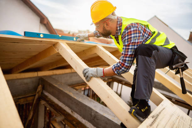 Best Roof Gutter Cleaning  in Westwood, MI