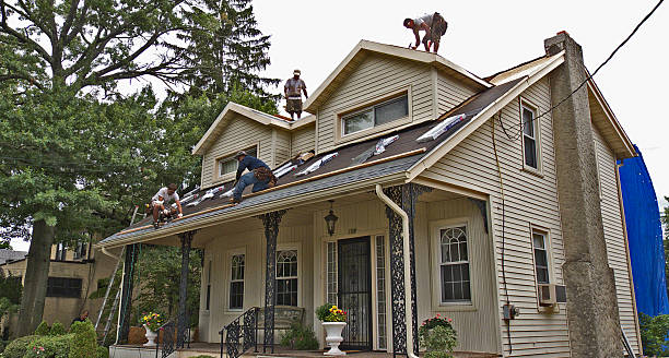Best Metal Roofing Contractor  in Westwood, MI