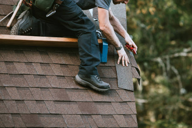 Best New Roof Installation  in Westwood, MI